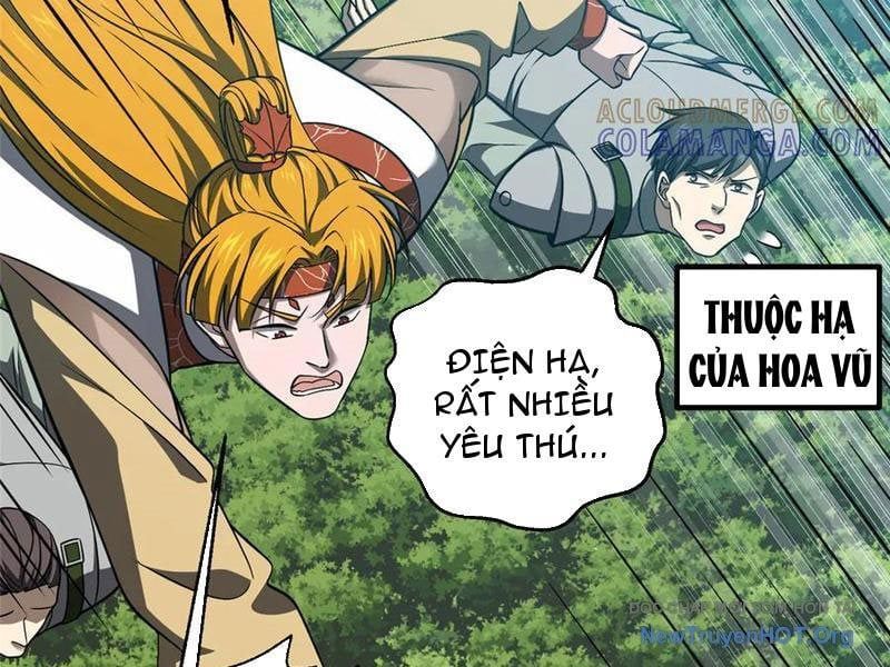 Toàn Cầu Cao Võ