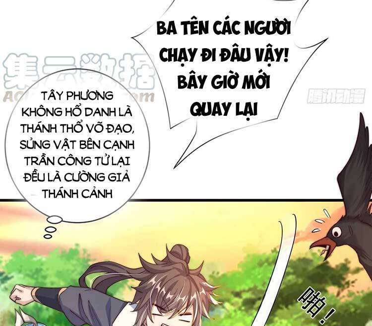 Cường Giả Tuyệt Thế Chỉ Muốn Làm Ruộng