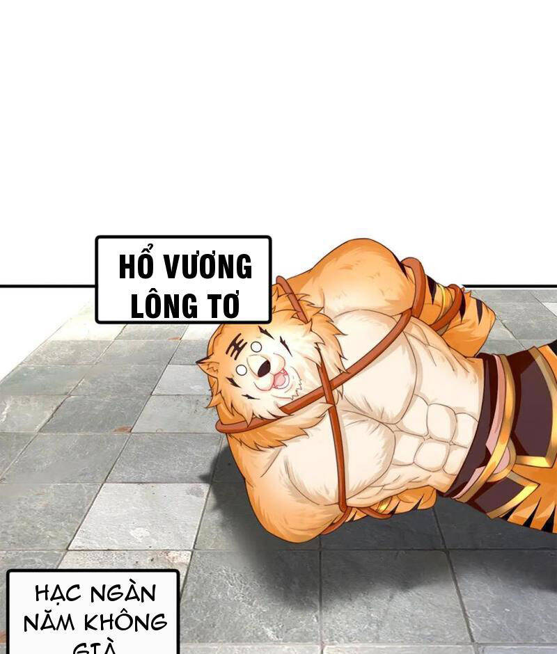 Cường Giả Tuyệt Thế Chỉ Muốn Làm Ruộng