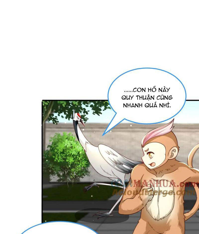 Cường Giả Tuyệt Thế Chỉ Muốn Làm Ruộng