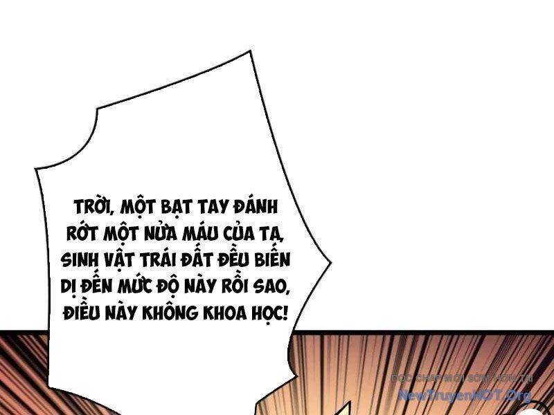 Vừa Chơi Đã Có Tài Khoản Vương Giả
