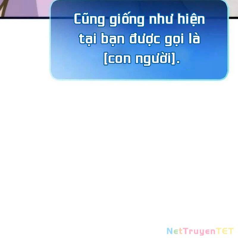 Hồi Quy Giả