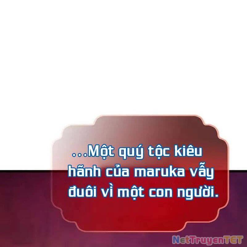 Hồi Quy Giả