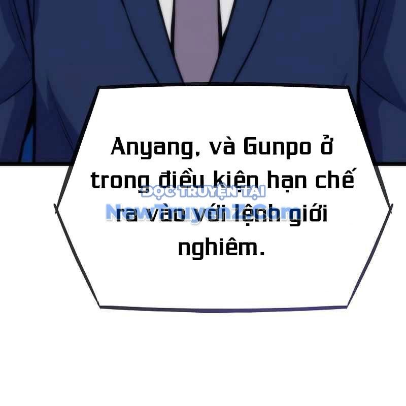 Hồi Quy Giả