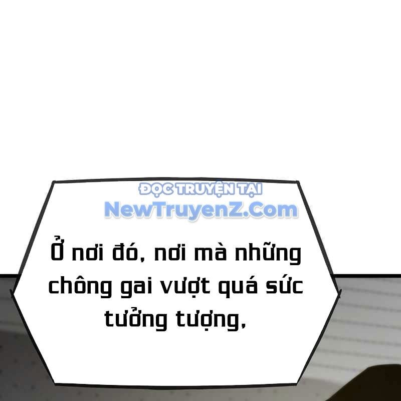 Hồi Quy Giả