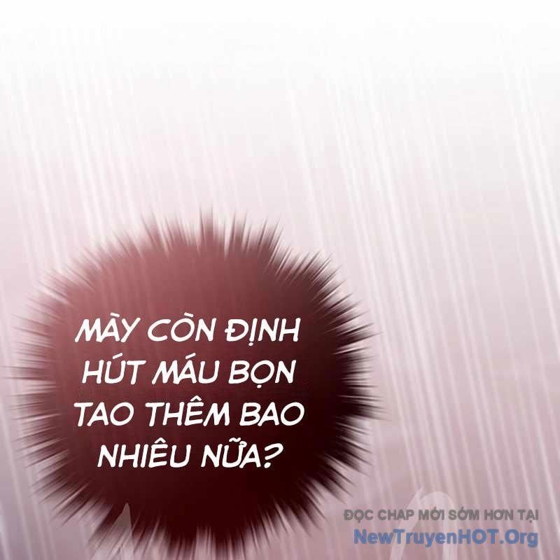 Hồi Quy Giả
