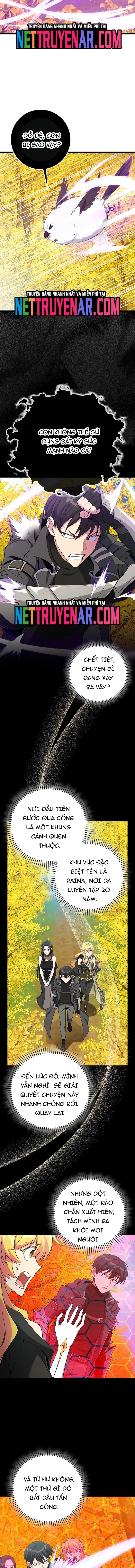 Người Chơi Cấp Tối Đa