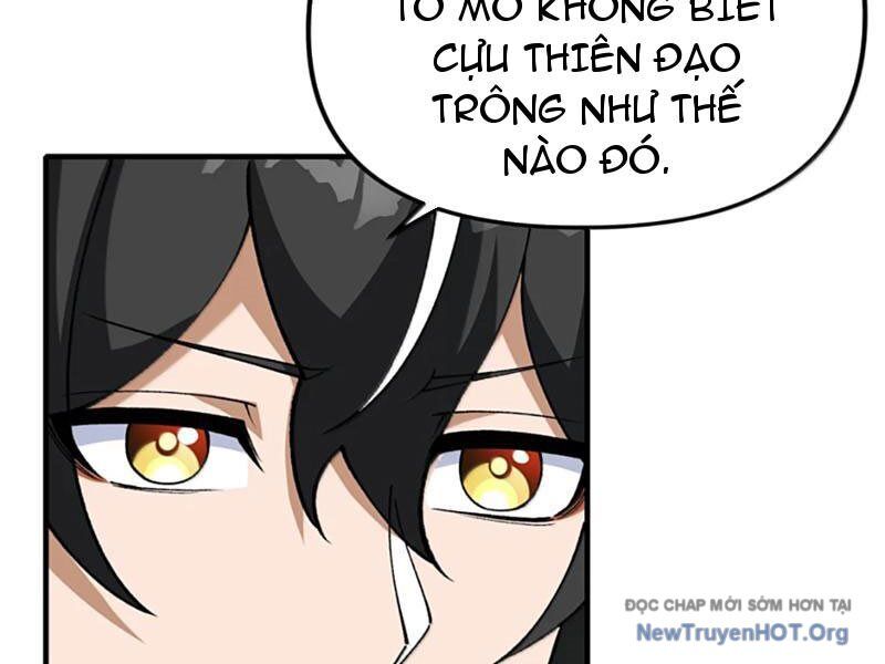 Thiên Đạo Này Cũng Không Ngốc Lắm