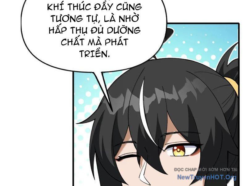 Thiên Đạo Này Cũng Không Ngốc Lắm