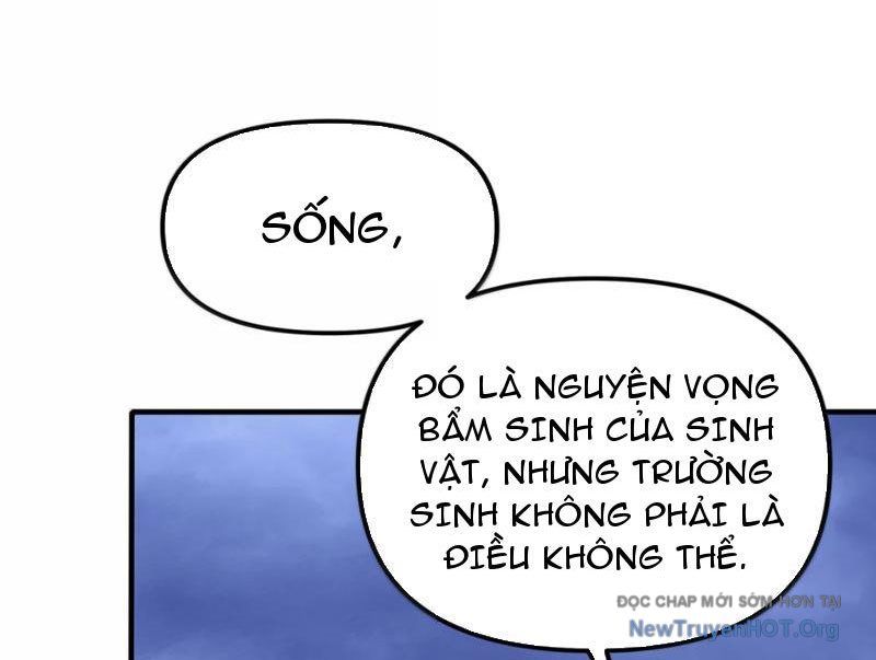 Thiên Đạo Này Cũng Không Ngốc Lắm