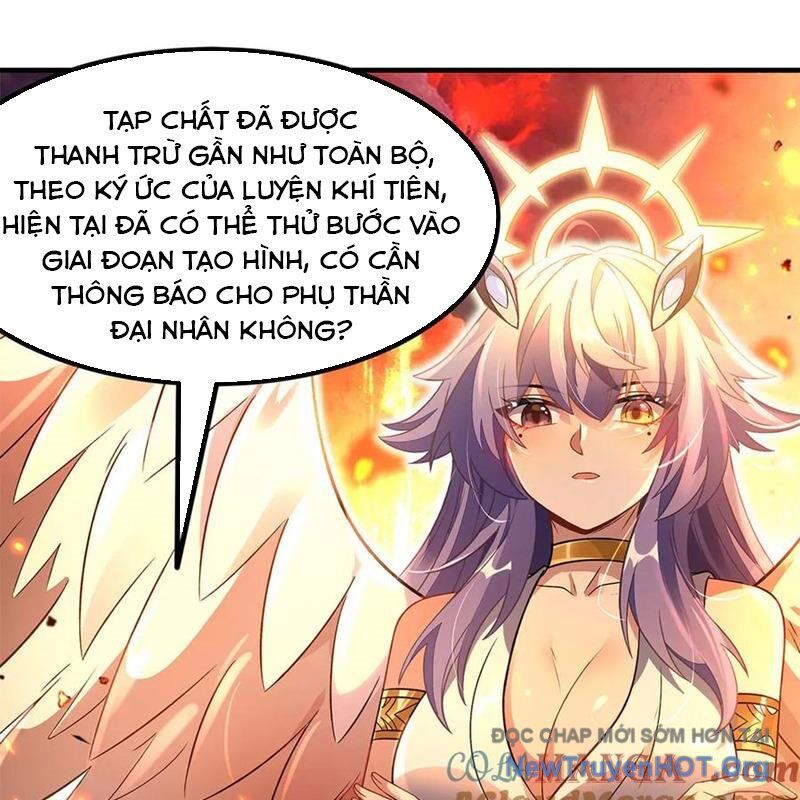 Các Nữ Đồ Đệ Của Ta Đều Là Chư Thiên Đại Lão Tương Lai