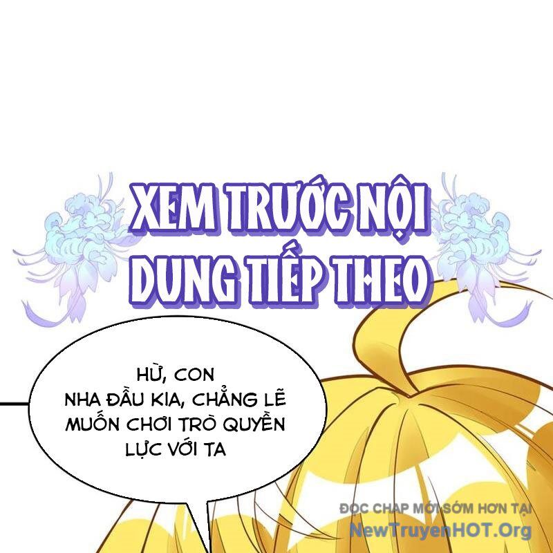 Các Nữ Đồ Đệ Của Ta Đều Là Chư Thiên Đại Lão Tương Lai