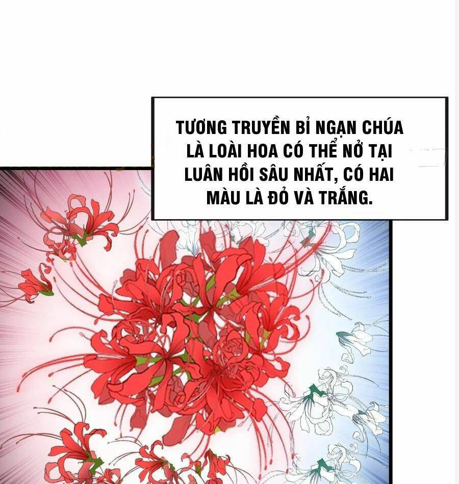 Ta không phải con cưng của khí vận