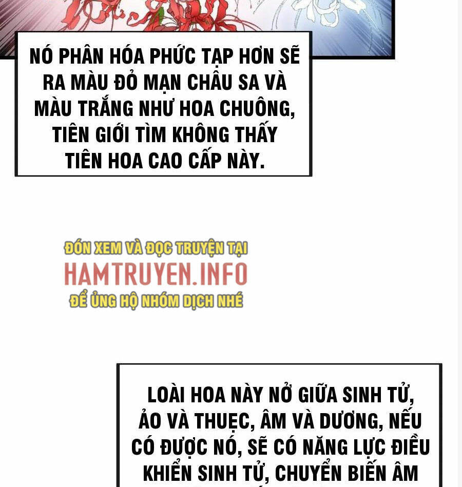 Ta không phải con cưng của khí vận