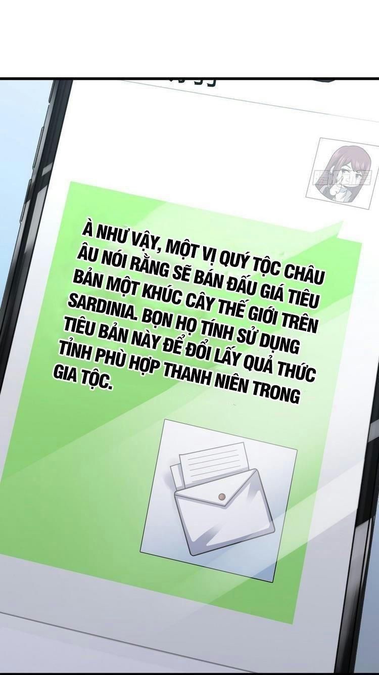 Đại Vương Tha Mạng