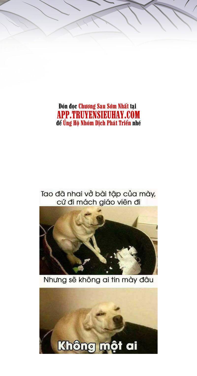 Đại Vương Tha Mạng