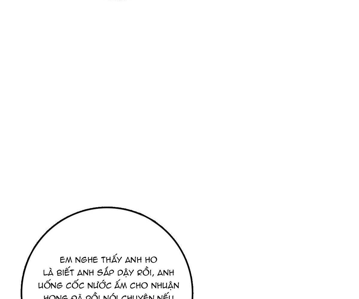 Đại Vương Tha Mạng