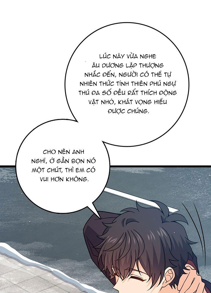 Đại Vương Tha Mạng