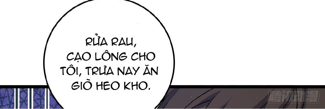 Đại Vương Tha Mạng