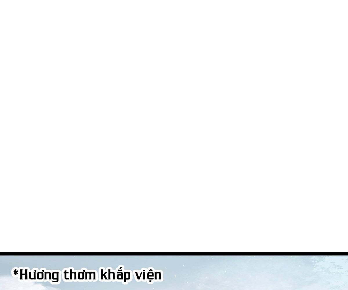 Đại Vương Tha Mạng