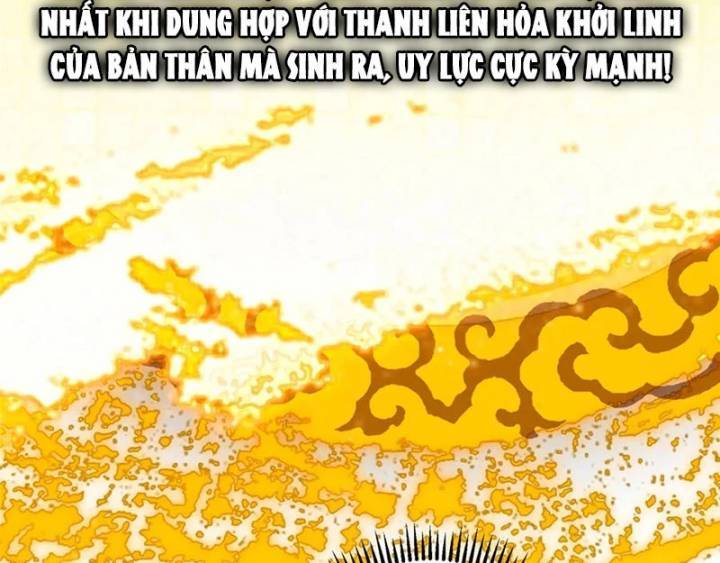 Chưởng môn khiêm tốn chút