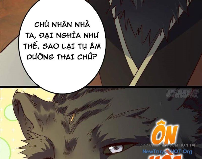 Chưởng môn khiêm tốn chút