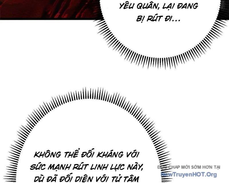 Chưởng môn khiêm tốn chút