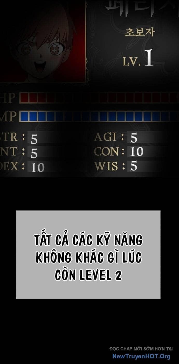Gậy Gỗ Cấp 99+