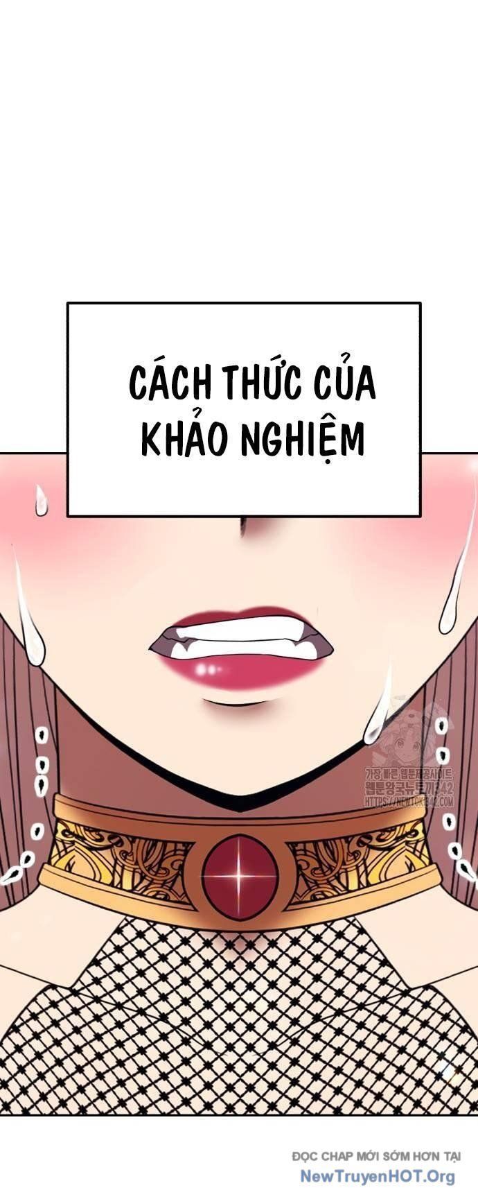 Gậy Gỗ Cấp 99+