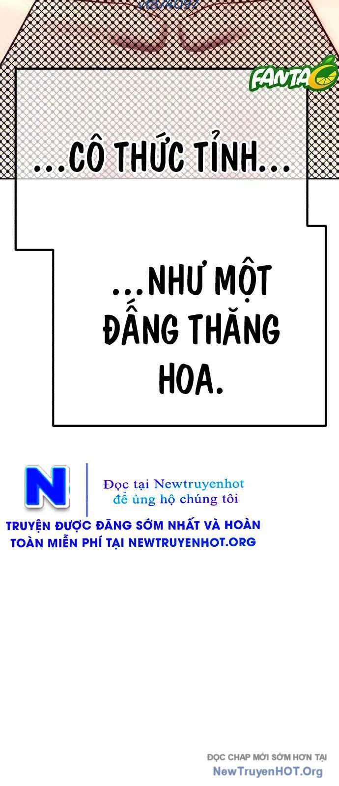 Gậy Gỗ Cấp 99+