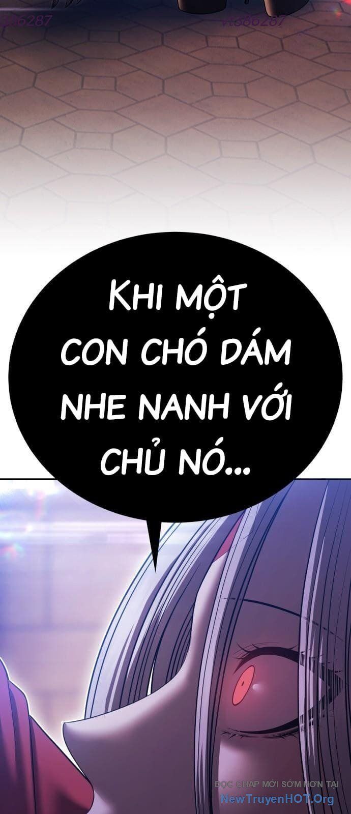 Gậy Gỗ Cấp 99+