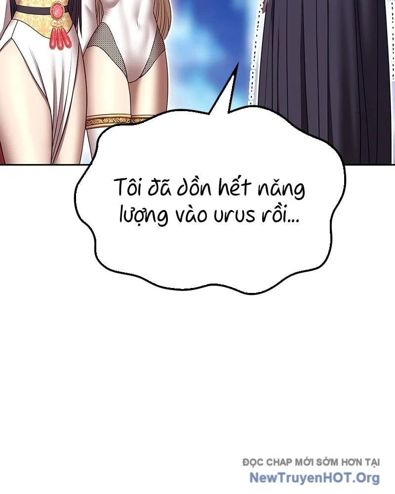 Gậy Gỗ Cấp 99+