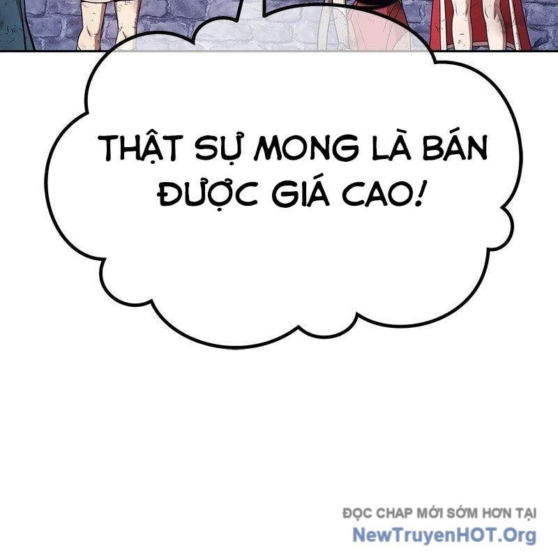Gậy Gỗ Cấp 99+