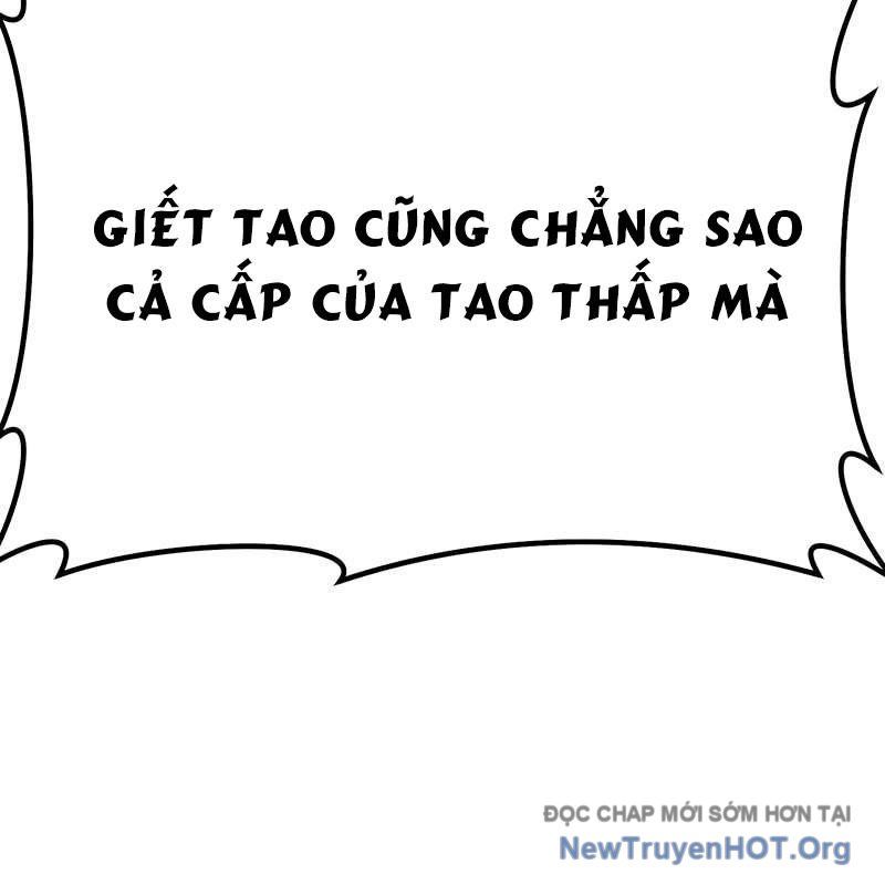 Gậy Gỗ Cấp 99+