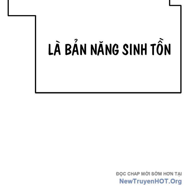 Gậy Gỗ Cấp 99+