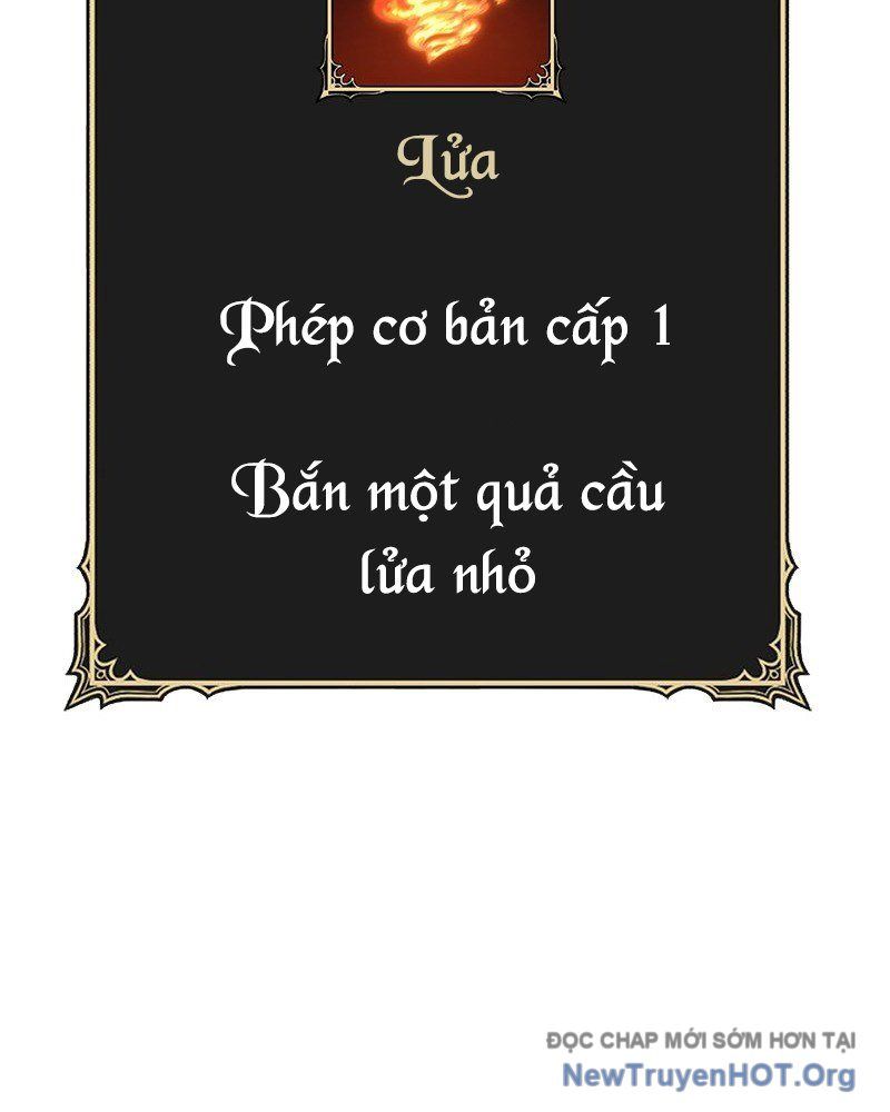 Gậy Gỗ Cấp 99+