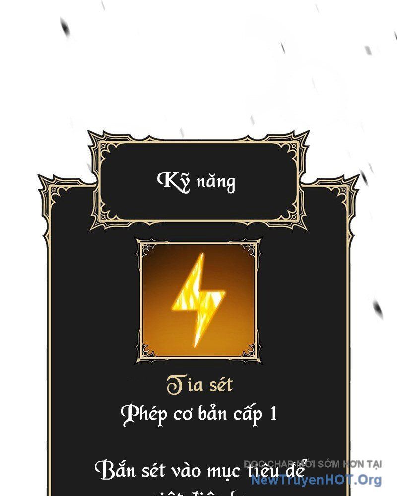 Gậy Gỗ Cấp 99+