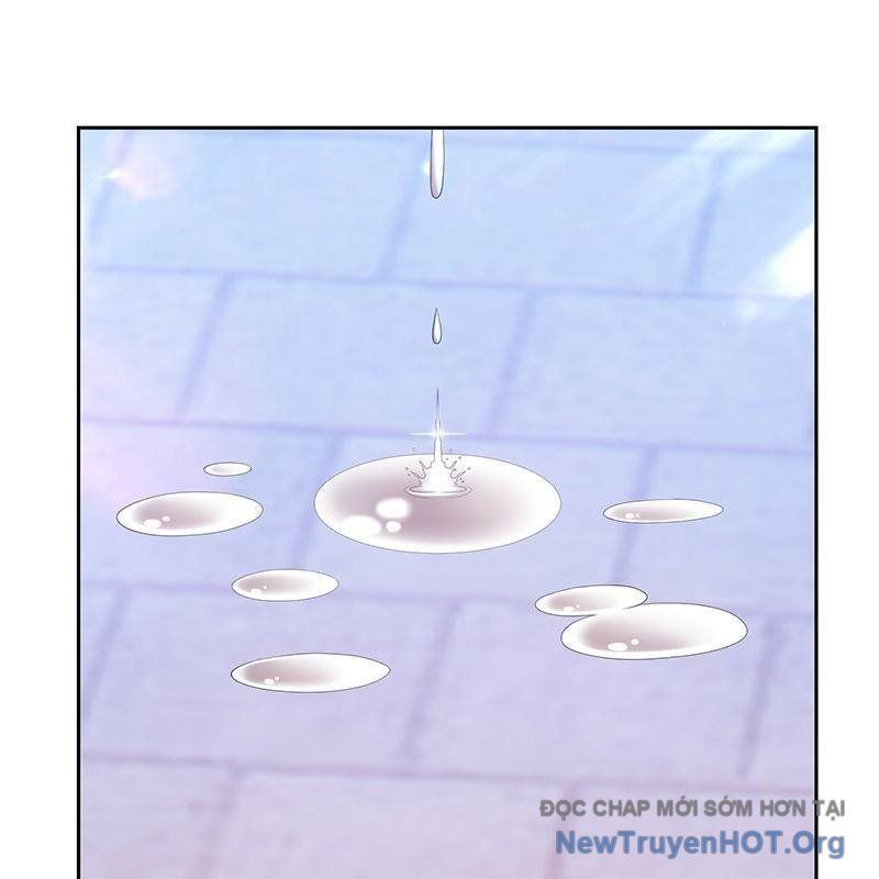 Gậy Gỗ Cấp 99+
