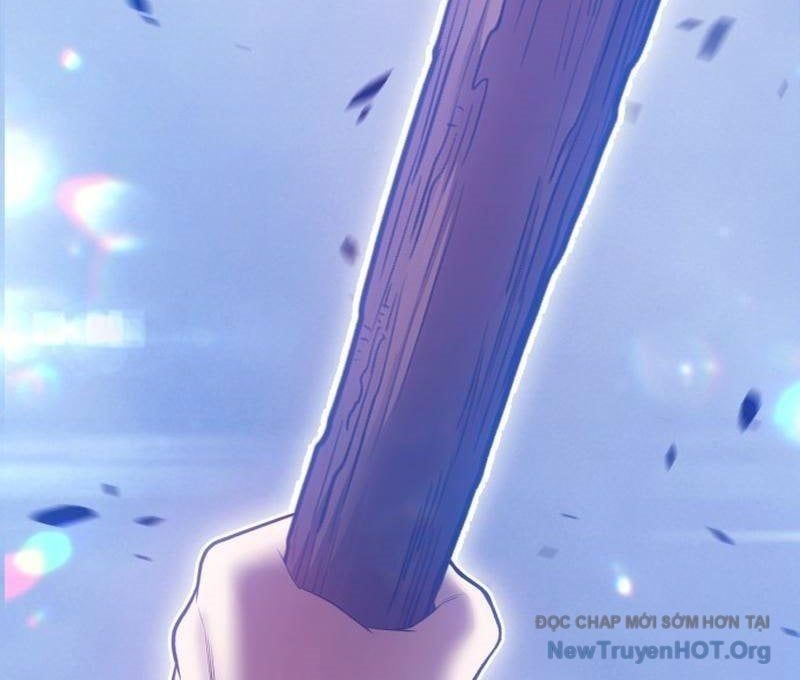 Gậy Gỗ Cấp 99+