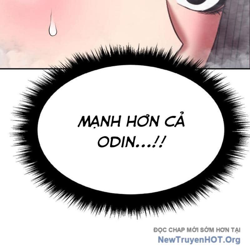 Gậy Gỗ Cấp 99+