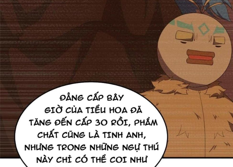 Thần sủng tiến hóa