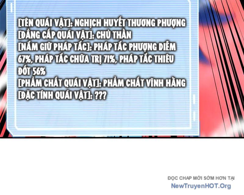 Thần sủng tiến hóa