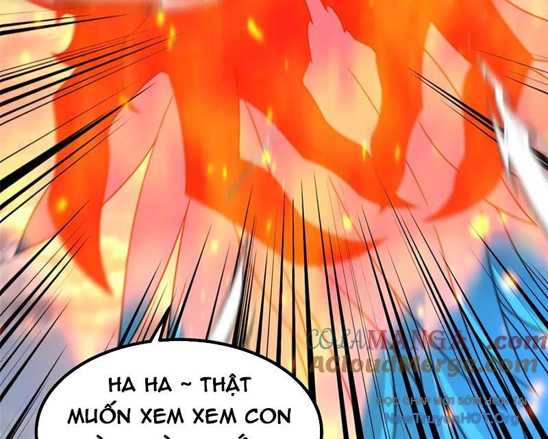 Thần sủng tiến hóa