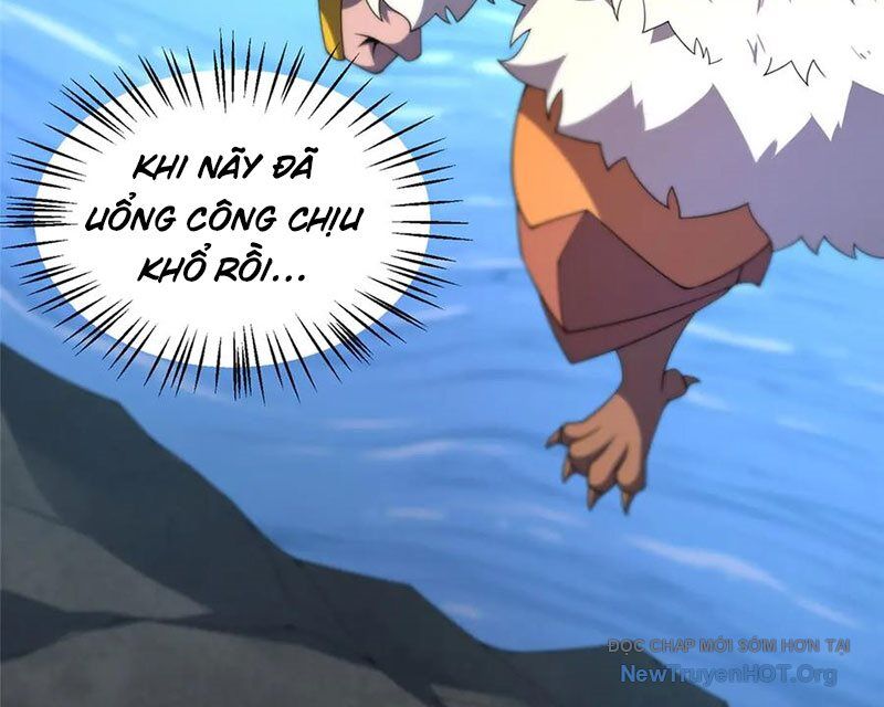 Thần sủng tiến hóa