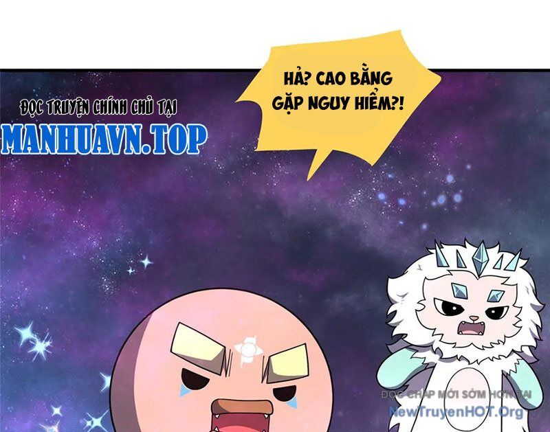 Thần sủng tiến hóa