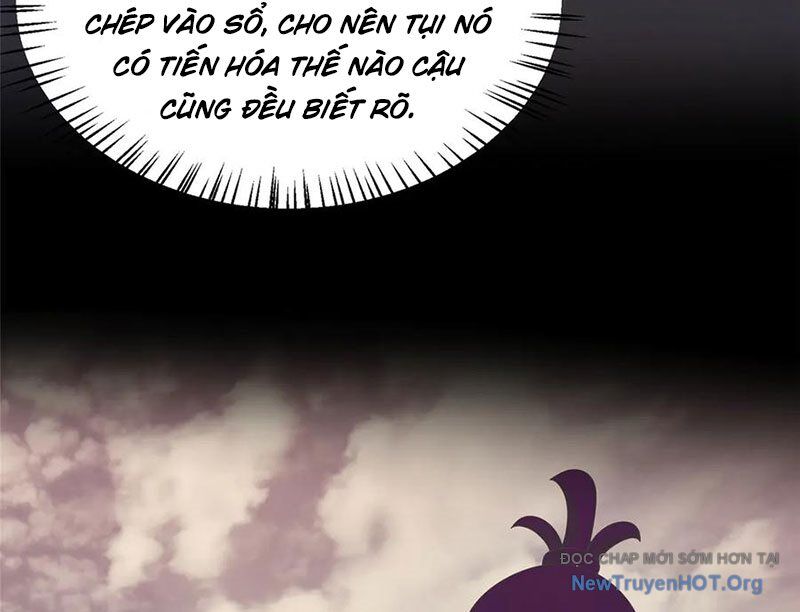 Thần sủng tiến hóa