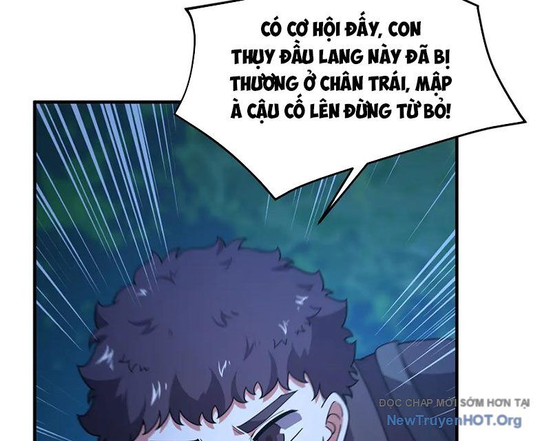 Thần sủng tiến hóa