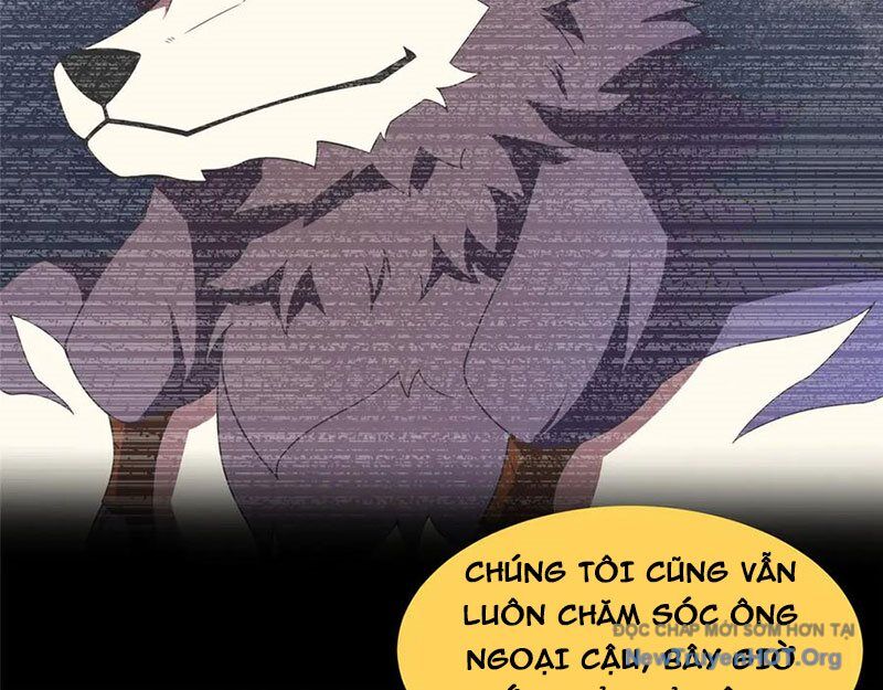 Thần sủng tiến hóa