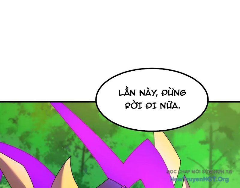 Thần sủng tiến hóa