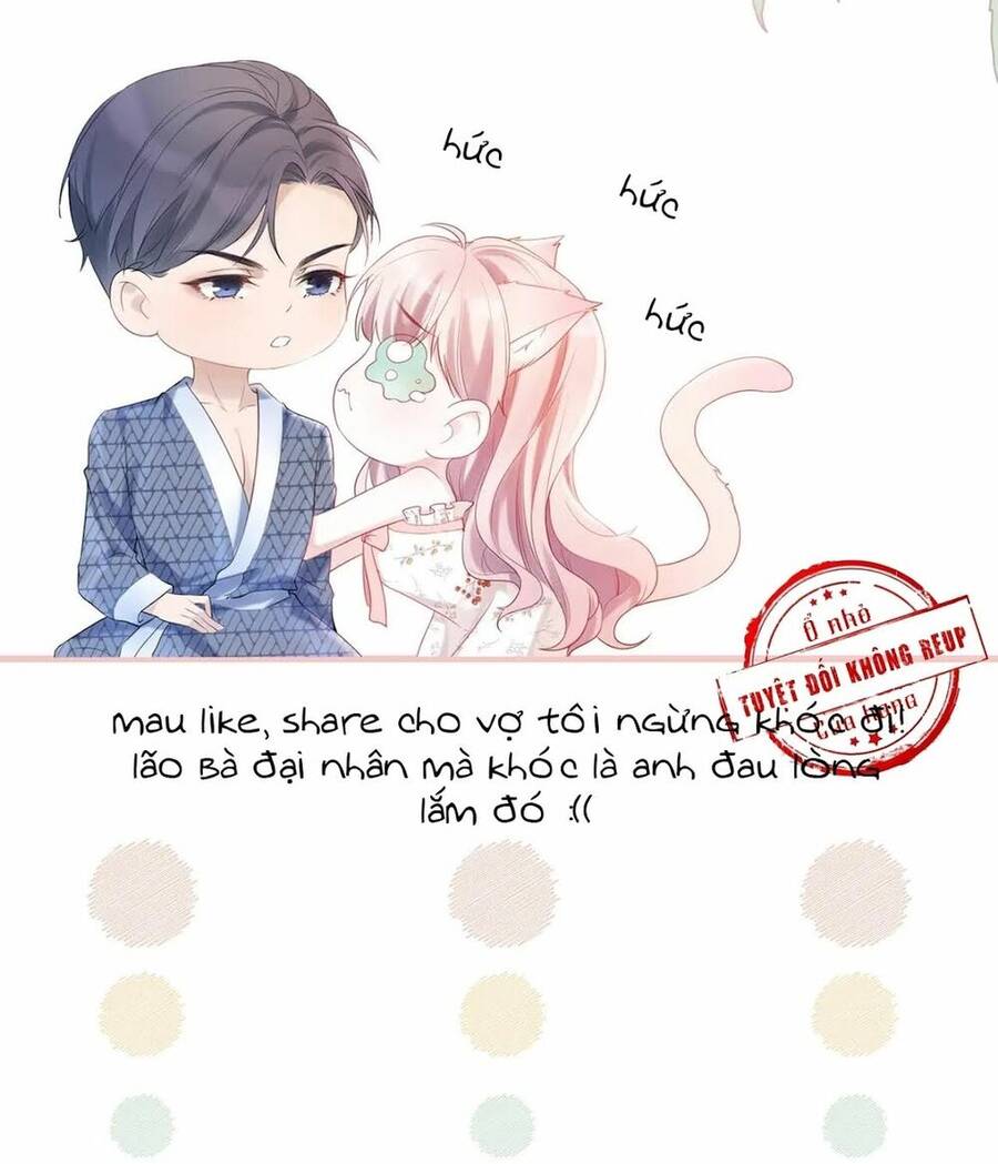 Tổ Sư Gia Đứng Đầu Lịch Sử